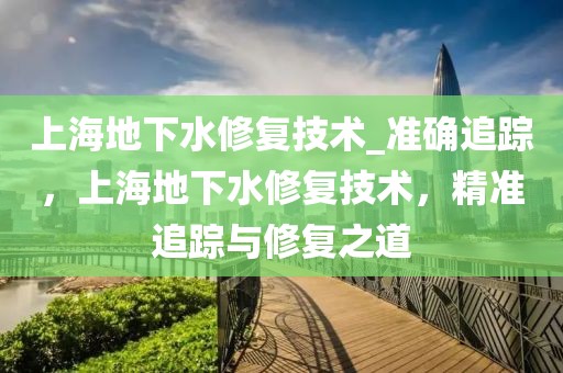 上海地下水修復(fù)技術(shù)_準(zhǔn)確追蹤，上海地下水修復(fù)技術(shù)，精準(zhǔn)追蹤與修復(fù)之道