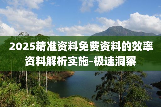 2025精準(zhǔn)資料免費資料的效率資料解析實施-極速洞察
