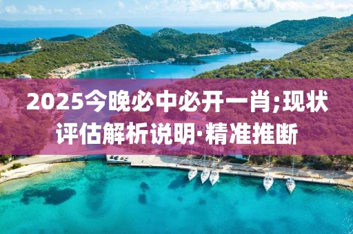 2025今晚必中必開一肖;現(xiàn)狀評(píng)估解析說明·精準(zhǔn)推斷