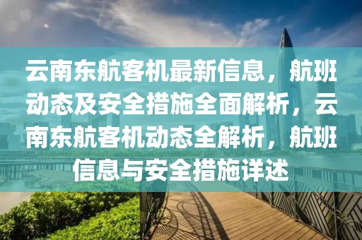 云南東航客機(jī)最新信息，航班動(dòng)態(tài)及安全措施全面解析，云南東航客機(jī)動(dòng)態(tài)全解析，航班信息與安全措施詳述