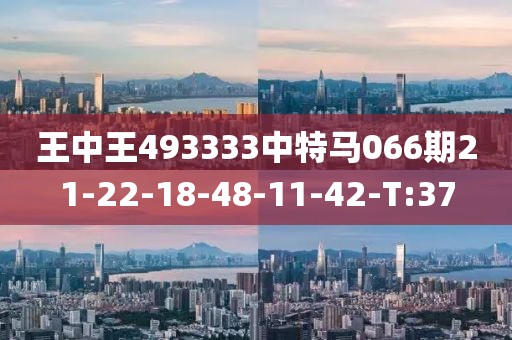 王中王493333中特馬066期21-22-18-48-11-42-T:37