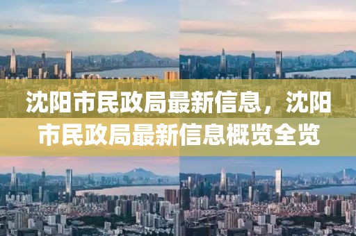 沈陽市民政局最新信息，沈陽市民政局最新信息概覽全覽