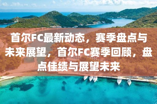 首爾FC最新動(dòng)態(tài)，賽季盤(pán)點(diǎn)與未來(lái)展望，首爾FC賽季回顧，盤(pán)點(diǎn)佳績(jī)與展望未來(lái)