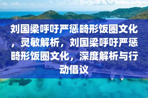 劉國(guó)梁呼吁嚴(yán)懲畸形飯圈文化，靈敏解析，劉國(guó)梁呼吁嚴(yán)懲畸形飯圈文化，深度解析與行動(dòng)倡議