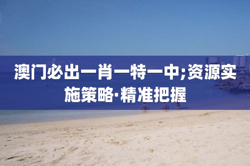 澳門必出一肖一特一中;資源實(shí)施策略·精準(zhǔn)把握