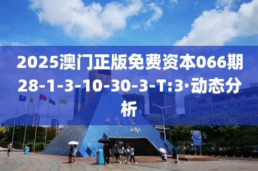 2025澳門正版免費資本066期28-1-3-10-30-3-T:3·動態(tài)分析