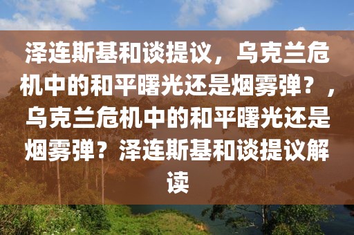 澤連斯基和談提議，烏克蘭危機(jī)中的和平曙光還是煙霧彈？，烏克蘭危機(jī)中的和平曙光還是煙霧彈？澤連斯基和談提議解讀