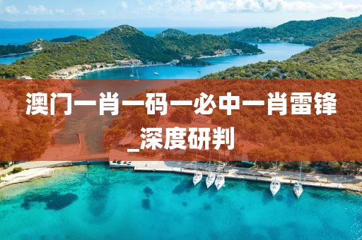 澳門(mén)一肖一碼一必中一肖雷鋒_深度研判