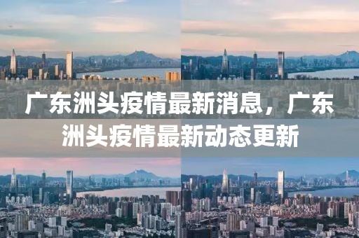 廣東洲頭疫情最新消息，廣東洲頭疫情最新動態(tài)更新