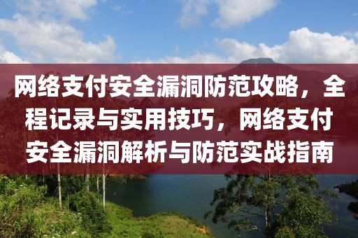 網(wǎng)絡支付安全漏洞防范攻略，全程記錄與實用技巧，網(wǎng)絡支付安全漏洞解析與防范實戰(zhàn)指南