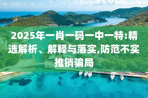 2025年一肖一碼一中一特:精選解析、解釋與落實,防范不實推銷騙局
