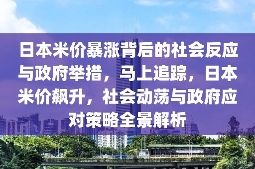 日本米價暴漲背后的社會反應(yīng)與政府舉措，馬上追蹤，日本米價飆升，社會動蕩與政府應(yīng)對策略全景解析