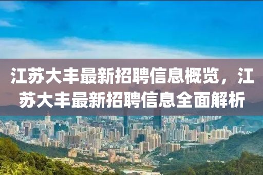 江蘇大豐最新招聘信息概覽，江蘇大豐最新招聘信息全面解析