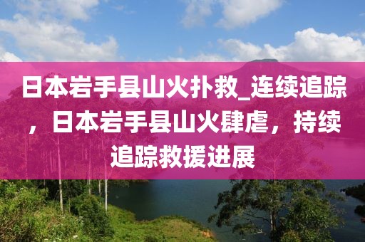 日本巖手縣山火撲救_連續(xù)追蹤，日本巖手縣山火肆虐，持續(xù)追蹤救援進(jìn)展