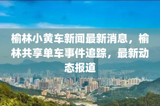 榆林小黃車新聞最新消息，榆林共享單車事件追蹤，最新動態(tài)報道
