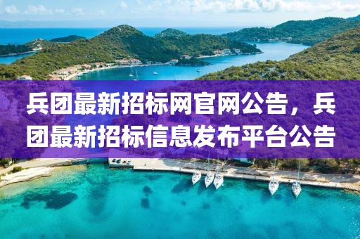 兵團(tuán)最新招標(biāo)網(wǎng)官網(wǎng)公告，兵團(tuán)最新招標(biāo)信息發(fā)布平臺(tái)公告