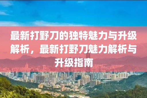 最新打野刀的獨(dú)特魅力與升級(jí)解析，最新打野刀魅力解析與升級(jí)指南