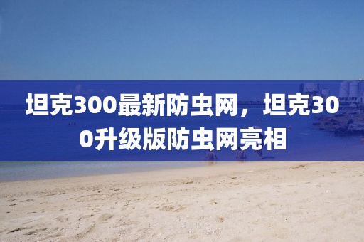 坦克300最新防蟲網(wǎng)，坦克300升級版防蟲網(wǎng)亮相