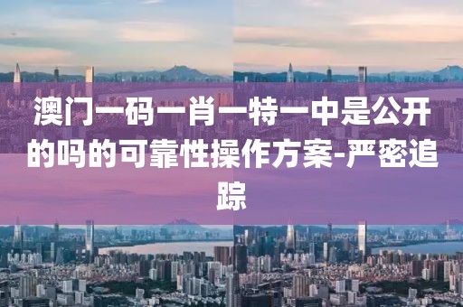 澳門一碼一肖一特一中是公開的嗎的可靠性操作方案-嚴(yán)密追蹤