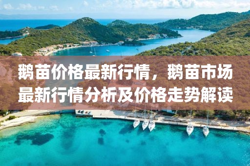 鵝苗價(jià)格最新行情，鵝苗市場(chǎng)最新行情分析及價(jià)格走勢(shì)解讀