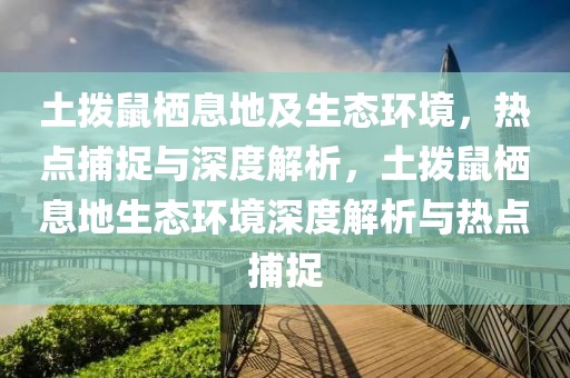 土撥鼠棲息地及生態(tài)環(huán)境，熱點捕捉與深度解析，土撥鼠棲息地生態(tài)環(huán)境深度解析與熱點捕捉