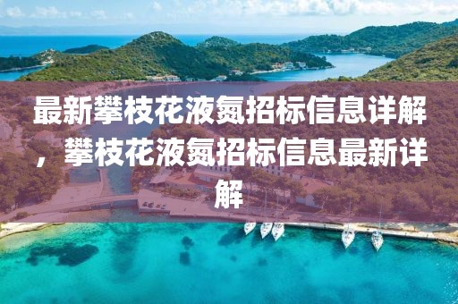 最新攀枝花液氮招標(biāo)信息詳解，攀枝花液氮招標(biāo)信息最新詳解