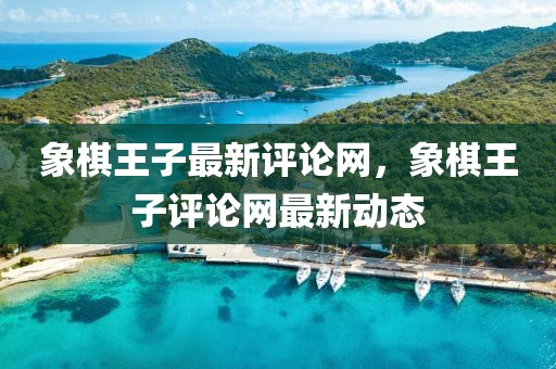 象棋王子最新評(píng)論網(wǎng)，象棋王子評(píng)論網(wǎng)最新動(dòng)態(tài)