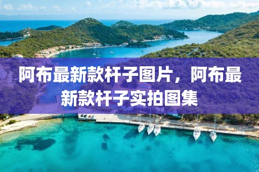 阿布最新款桿子圖片，阿布最新款桿子實(shí)拍圖集