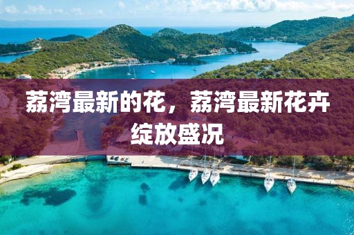 taohe 第8頁