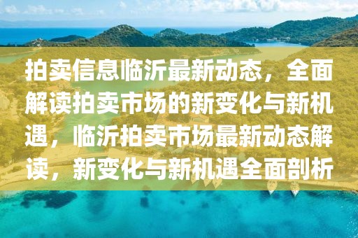 拍賣信息臨沂最新動(dòng)態(tài)，全面解讀拍賣市場(chǎng)的新變化與新機(jī)遇，臨沂拍賣市場(chǎng)最新動(dòng)態(tài)解讀，新變化與新機(jī)遇全面剖析
