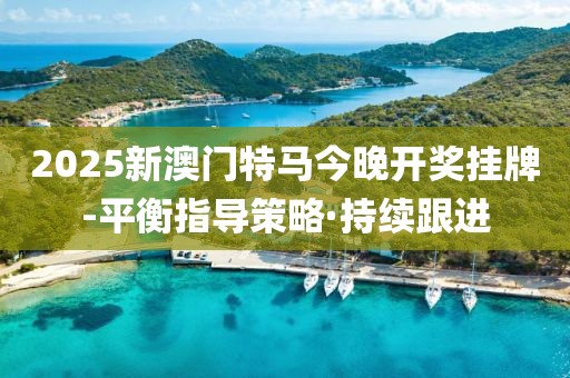 2025新澳門特馬今晚開獎掛牌-平衡指導策略·持續(xù)跟進
