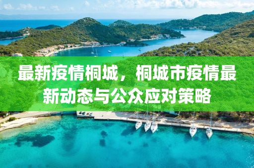 最新疫情桐城，桐城市疫情最新動(dòng)態(tài)與公眾應(yīng)對(duì)策略