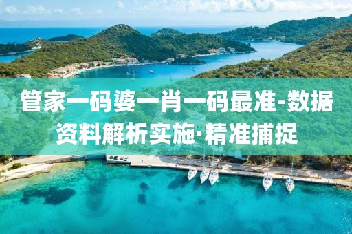 管家一碼婆一肖一碼最準(zhǔn)-數(shù)據(jù)資料解析實(shí)施·精準(zhǔn)捕捉