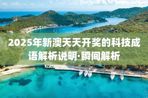 2025年新澳天天開獎的科技成語解析說明·瞬間解析