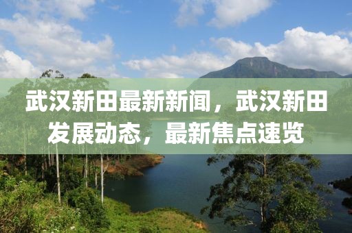 武漢新田最新新聞，武漢新田發(fā)展動(dòng)態(tài)，最新焦點(diǎn)速覽