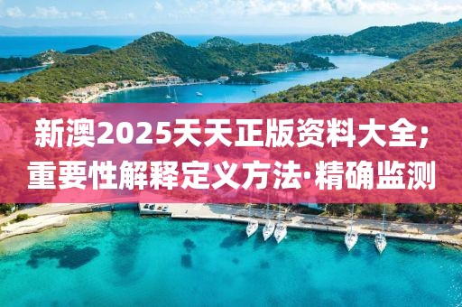 新澳2025天天正版資料大全;重要性解釋定義方法·精確監(jiān)測