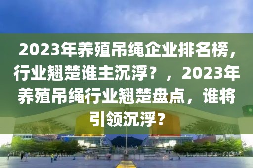 2023年養(yǎng)殖吊繩企業(yè)排名榜，行業(yè)翹楚誰主沉??？，2023年養(yǎng)殖吊繩行業(yè)翹楚盤點，誰將引領(lǐng)沉?。? class=