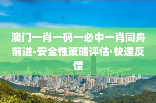 澳門一肖一碼一必中一肖同舟前進(jìn)-安全性策略評估·快速反饋