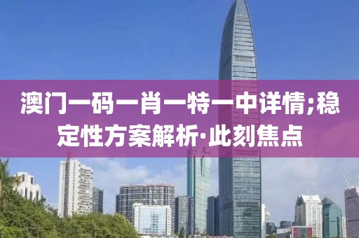澳門一碼一肖一特一中詳情;穩(wěn)定性方案解析·此刻焦點