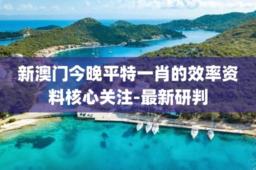 新澳門今晚平特一肖的效率資料核心關注-最新研判