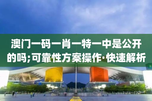 澳門一碼一肖一特一中是公開的嗎;可靠性方案操作·快速解析