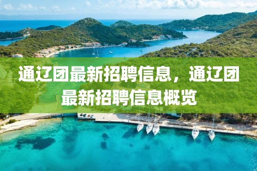 通遼團(tuán)最新招聘信息，通遼團(tuán)最新招聘信息概覽
