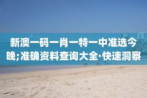 新澳一碼一肖一特一中準(zhǔn)選今晚;準(zhǔn)確資料查詢大全·快速洞察