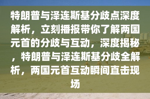 特朗普與澤連斯基分歧點(diǎn)深度解析，立刻播報(bào)帶你了解兩國元首的分歧與互動，深度揭秘，特朗普與澤連斯基分歧全解析，兩國元首互動瞬間直擊現(xiàn)場