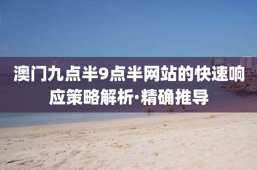澳門九點(diǎn)半9點(diǎn)半網(wǎng)站的快速響應(yīng)策略解析·精確推導(dǎo)