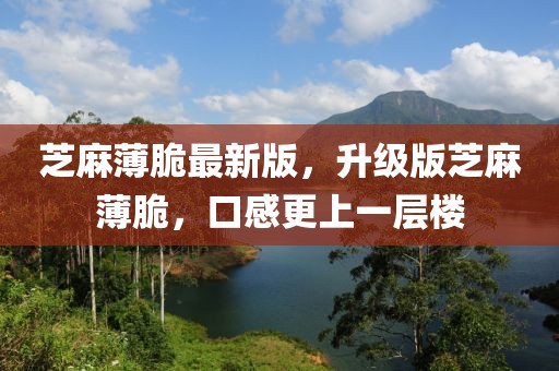 芝麻薄脆最新版，升級(jí)版芝麻薄脆，口感更上一層樓