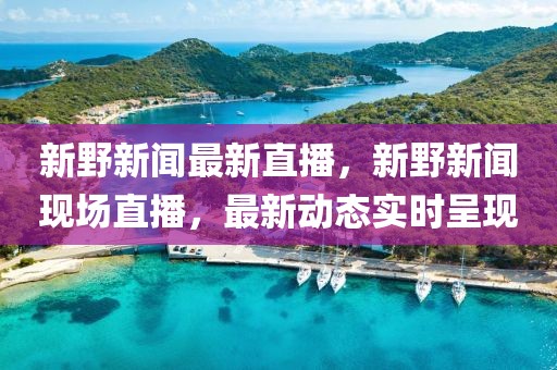 新野新聞最新直播，新野新聞現(xiàn)場直播，最新動態(tài)實時呈現(xiàn)