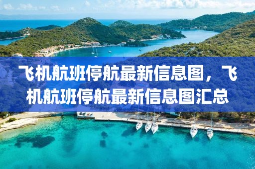 飛機航班停航最新信息圖，飛機航班停航最新信息圖匯總