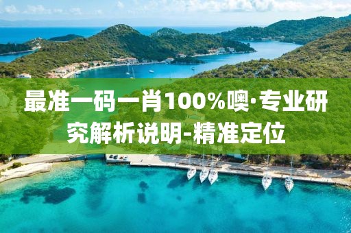 最準(zhǔn)一碼一肖100%噢·專業(yè)研究解析說明-精準(zhǔn)定位