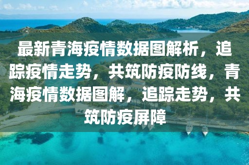 最新青海疫情數(shù)據(jù)圖解析，追蹤疫情走勢(shì)，共筑防疫防線，青海疫情數(shù)據(jù)圖解，追蹤走勢(shì)，共筑防疫屏障